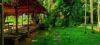 The Scenery – ...