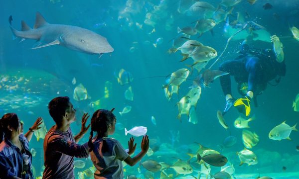 angkor-wildlife-Aquarium.jpg