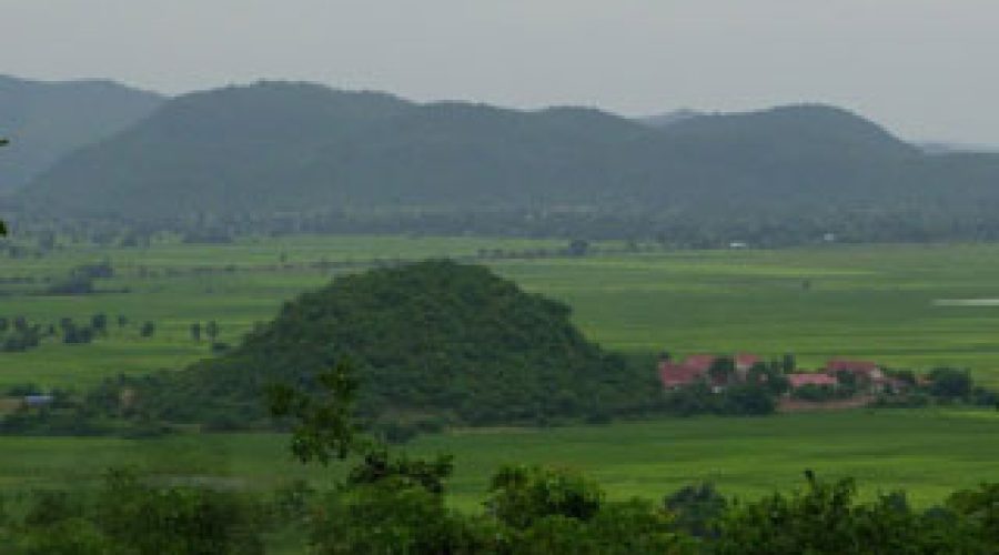 phnom_trong_morn_trong-_tea